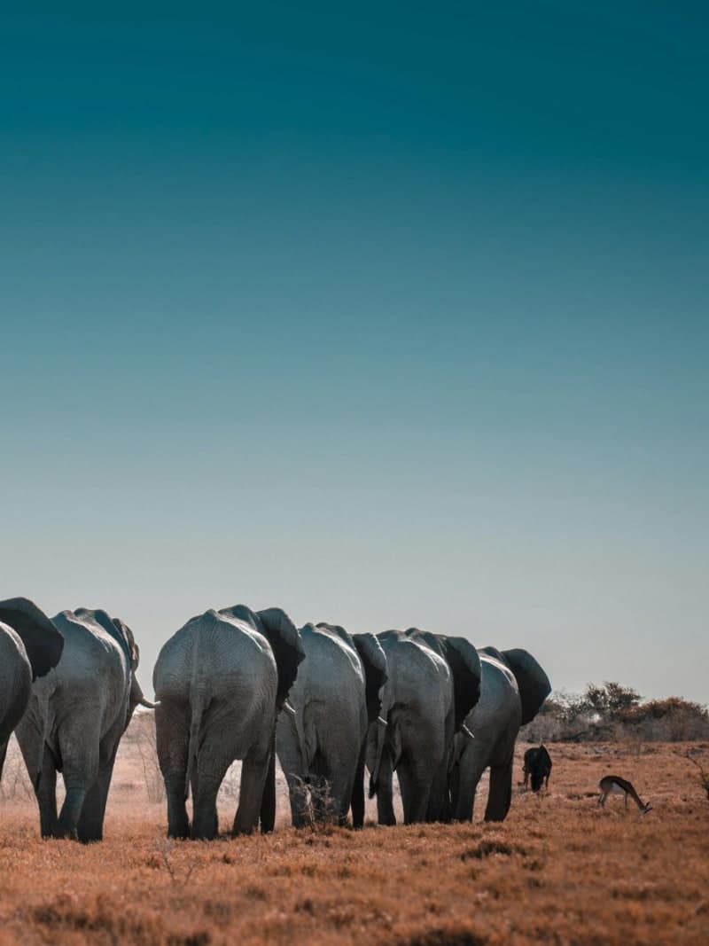 Namibia Tour