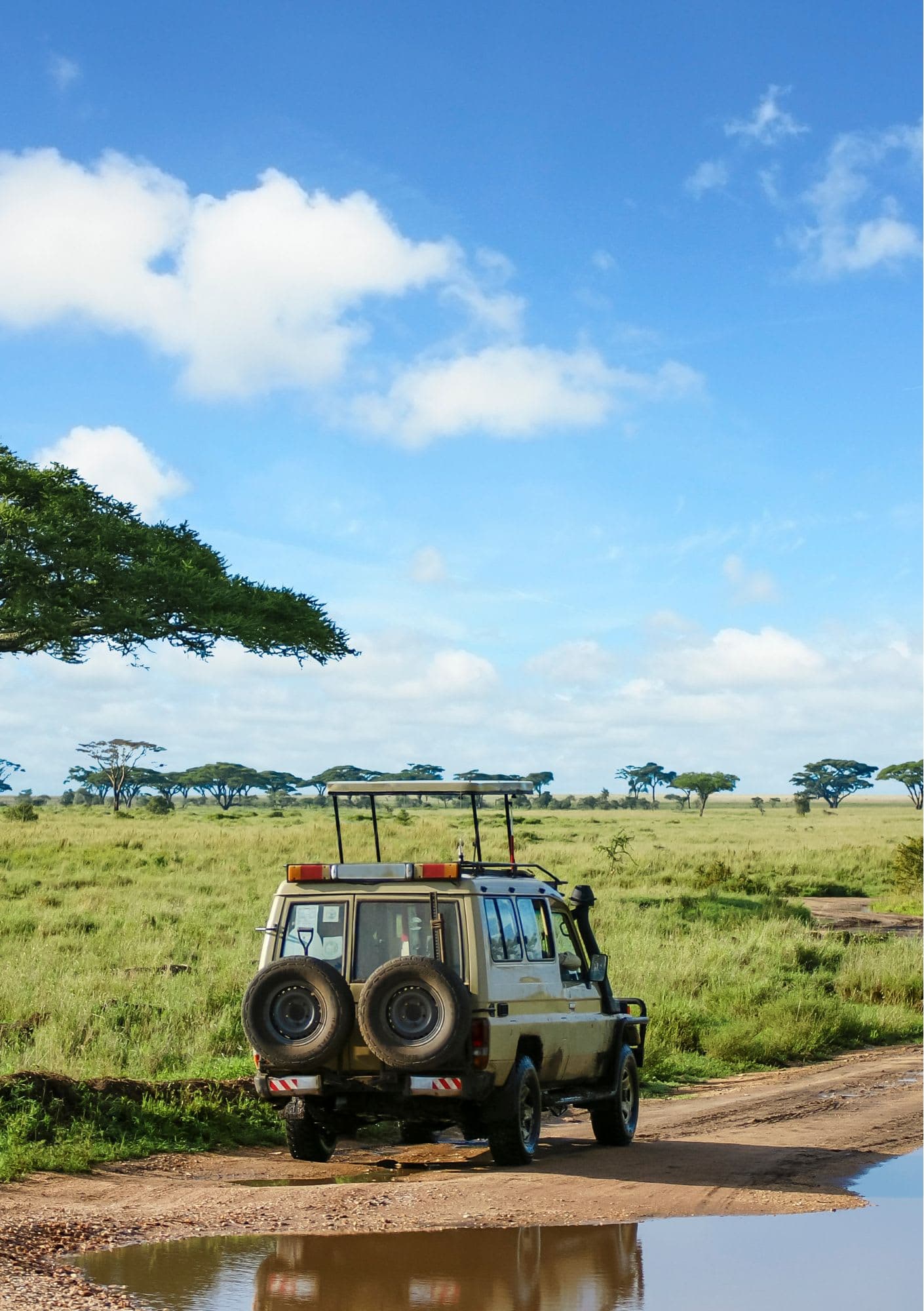 Serengeti & First Safari Experience