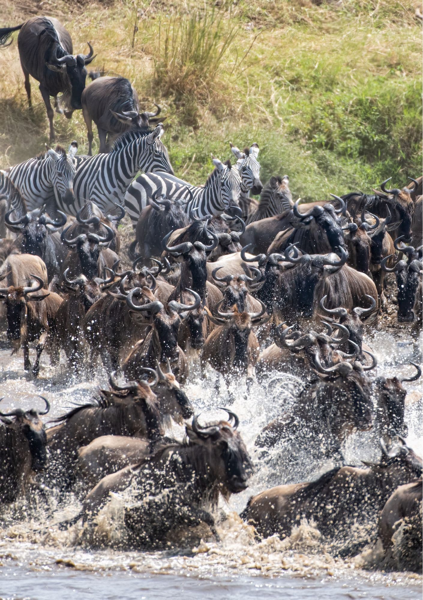 Optional Balloon Safari & Full-Day Exploration