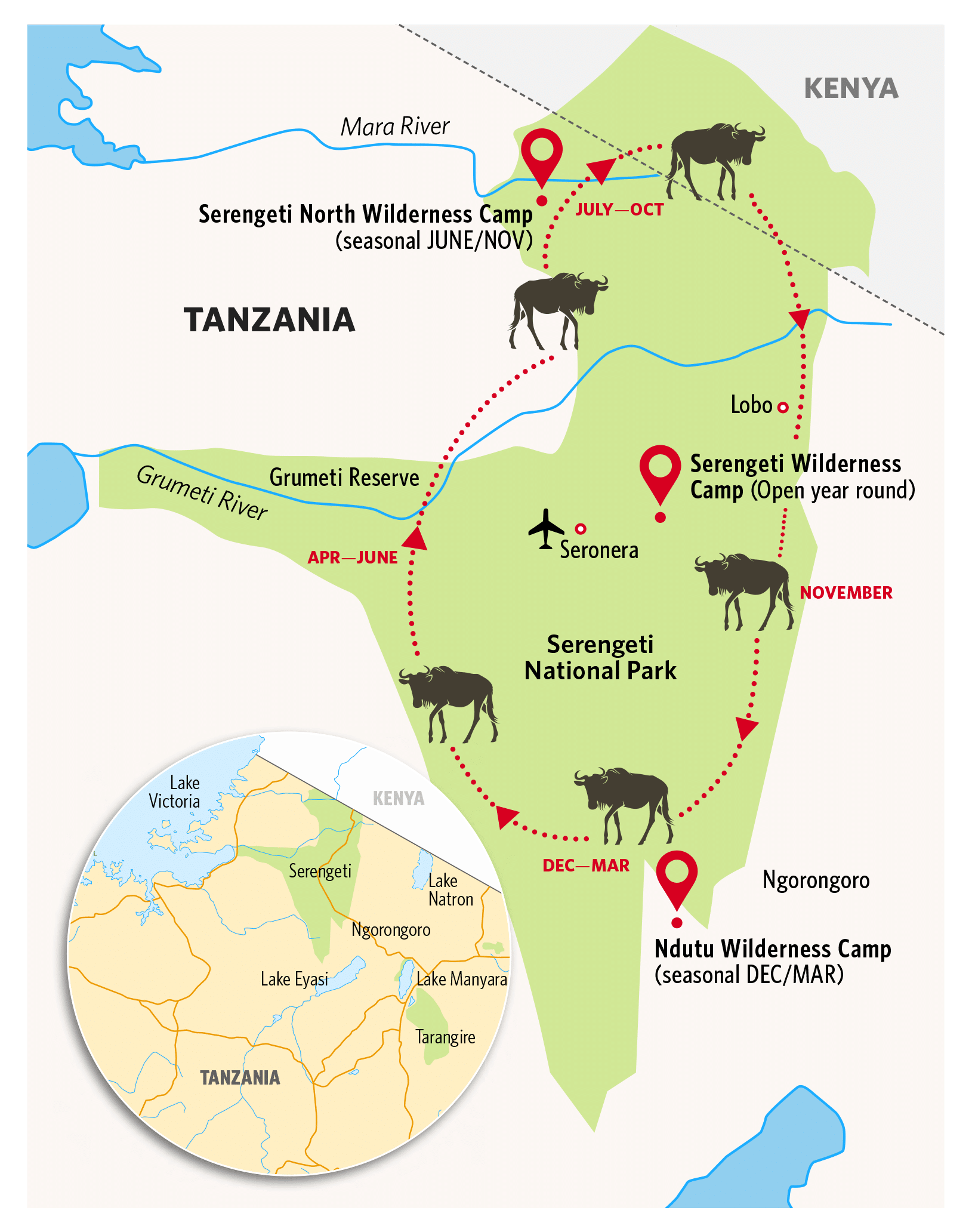 The Great Migration: A Year-Round Spectacle in the Serengeti